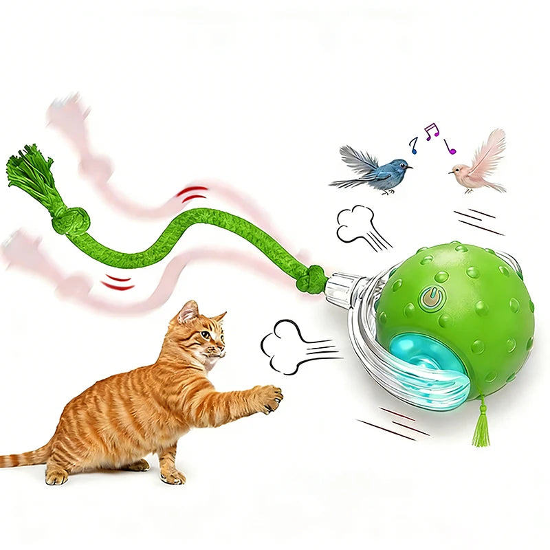Interactive Cat Toys Ball for Indoor Cats Fast Rolling with Bird Carpet Chirping & Exercise Rechargeable Smart Cat Ball Toys