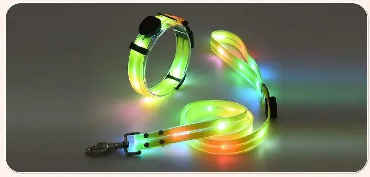 Rechargeable LED Dog Collar Leash Waterproof Glow-in-the-Dark Nylon Reflective Lights Light up Luminous Dog Walking Gear