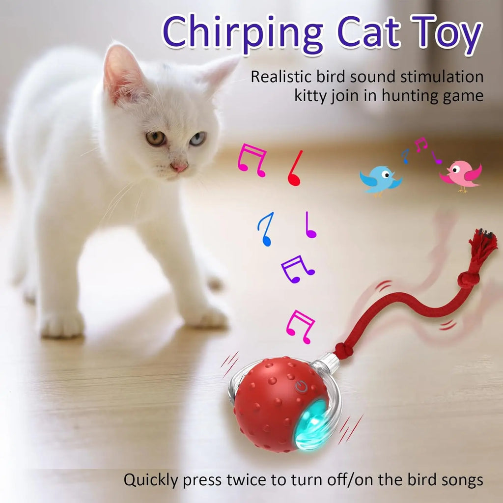 Interactive Cat Toys Ball for Indoor Cats Fast Rolling with Bird Carpet Chirping & Exercise Rechargeable Smart Cat Ball Toys