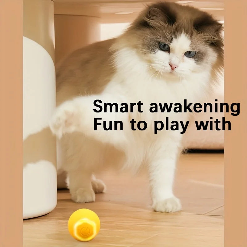 Smart Indoor Electric Cat Ball Toy Automatic Rolling Interactive Plastic Pet Accessory for Kitties