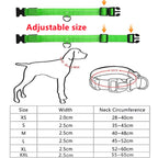 Nylon LED Pet Dog Collar Night Safety Flashing Glow in the Dark Dog Leash Dogs Luminous Collars Pet Supplies OEM Custom LOGO