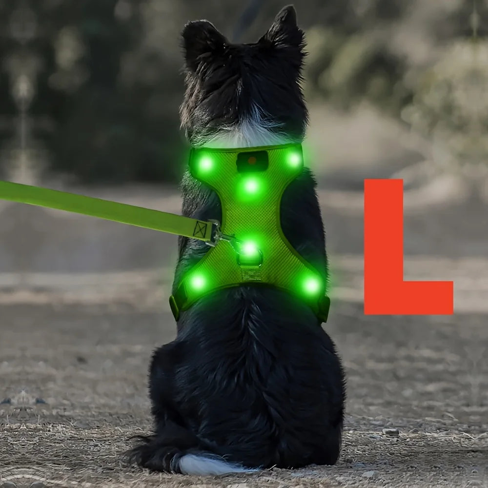 Light up LED Dog Harness No Pull Rechargeable Dog Vest with Detachable Battery Washable Nylon Harness for Small Medium Large Dog
