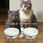 Auto-Elevated 15 Degree Tilted Double Cat Bowls Indoor Raised Ceramic Pet Feeding Bowls for Water & Food