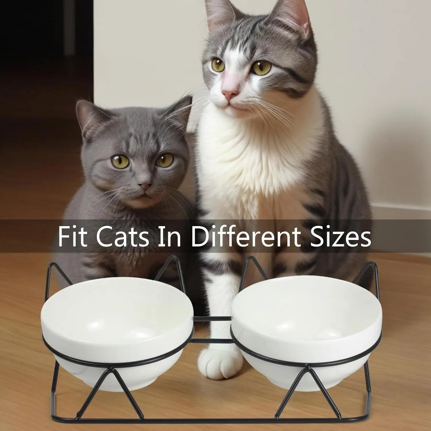 Auto-Elevated 15 Degree Tilted Double Cat Bowls Indoor Raised Ceramic Pet Feeding Bowls for Water & Food