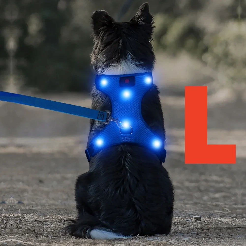 Light up LED Dog Harness No Pull Rechargeable Dog Vest with Detachable Battery Washable Nylon Harness for Small Medium Large Dog