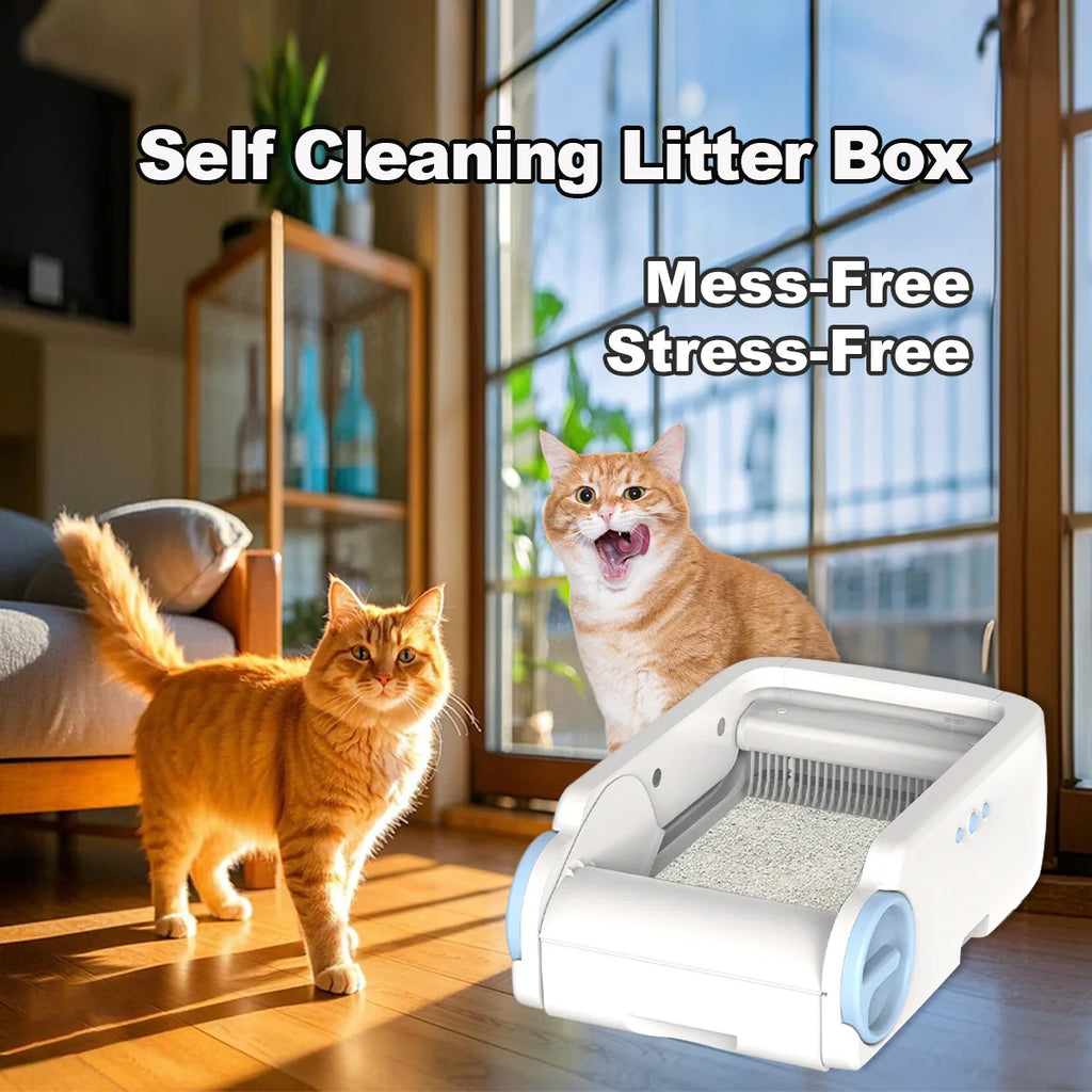 Open Design Automatic Cat Litter Cat Pan App Control Auto Clean Smart Litter Pan Pet Cat Supplies