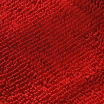 Microfiber Dog Door Mat for Indoor Outdoor Quick Dry Chenille Entryway Carpet Non-Slip Absorbent for Summer Winter Soft Pet Rug