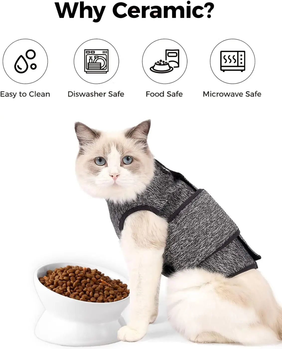 Elevated Cat Food Bowl 5 Oz Ceramic Raised and Tilted Water Bowl Anti Vomiting and Protect Pets' Spines Dishes for Small Dog Cat