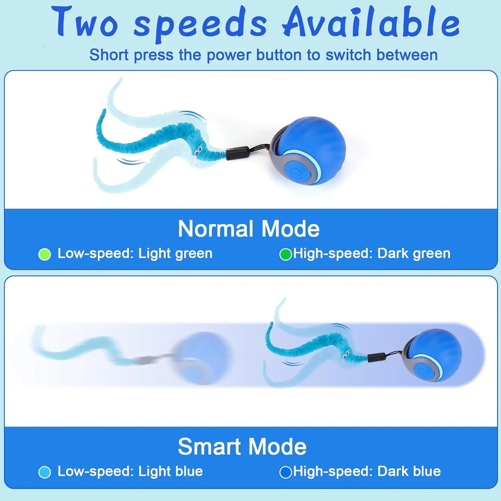 Automatic Interactive Cat Toy Ball for Indoor Cat Toys with 3 Tails 2 Speeds Rechargeable Rolling Ball for Cats with Bird Sound