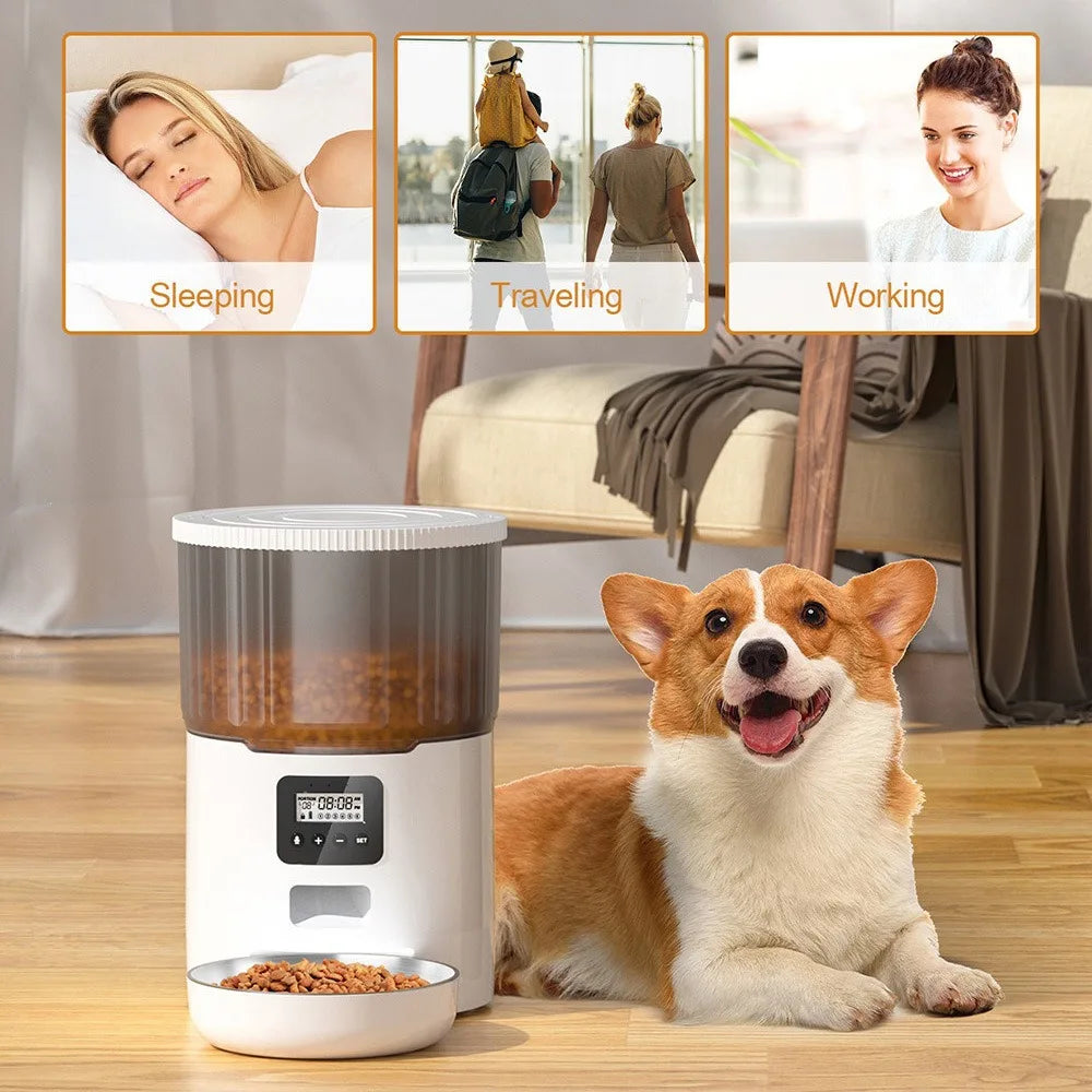 OEM 4L Automatic Cat Feeder APP Smart Pet Feeder Slow Pet Food Dispenser WIFI Time Seting Auto Pet Feeder Manufacturer