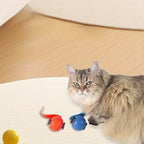Interactive Rolling Cat Ball Toy Automatic Rolling Motion Rechargeable Indoor/Outdoor Play for All Cat Pet Exercise Toys