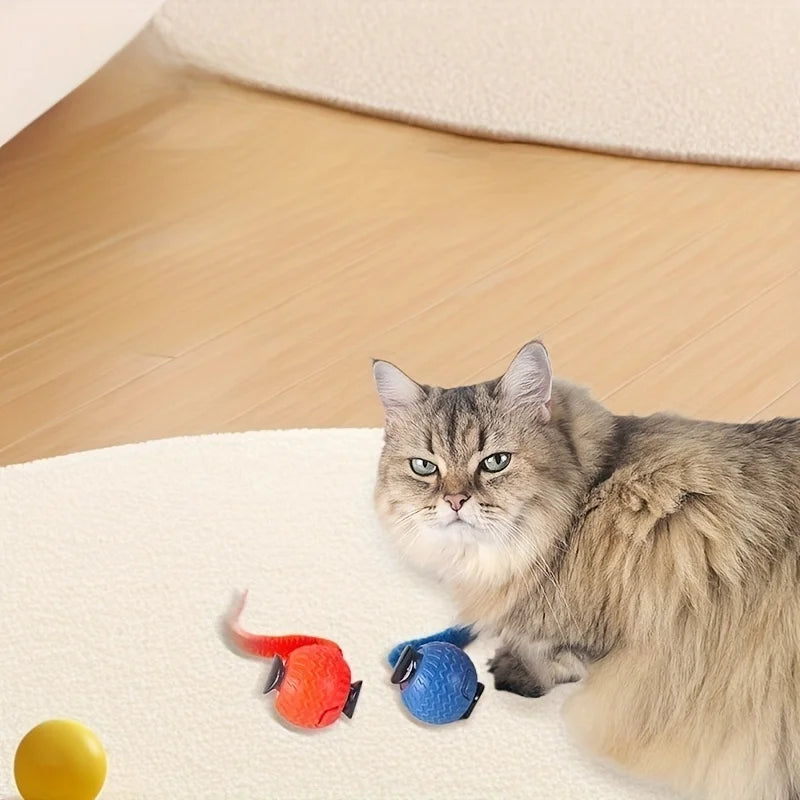 Interactive Rolling Cat Ball Toy Automatic Rolling Motion Rechargeable Indoor/Outdoor Play for All Cat Pet Exercise Toys