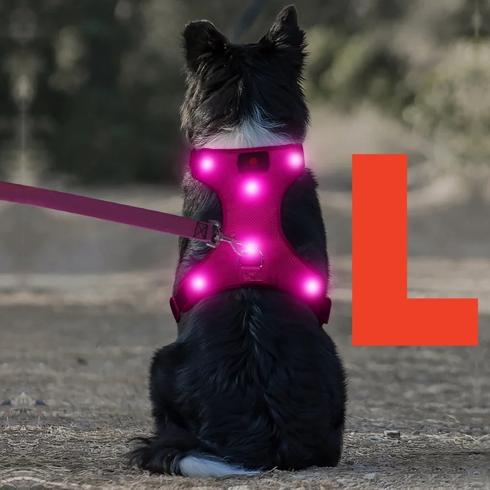 Light up LED Dog Harness No Pull Rechargeable Dog Vest with Detachable Battery Washable Nylon Harness for Small Medium Large Dog