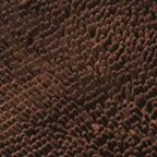 Microfiber Dog Door Mat for Indoor Outdoor Quick Dry Chenille Entryway Carpet Non-Slip Absorbent for Summer Winter Soft Pet Rug